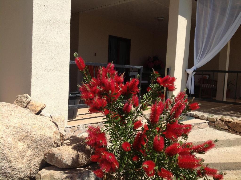 Brise Marine Guest house 3*